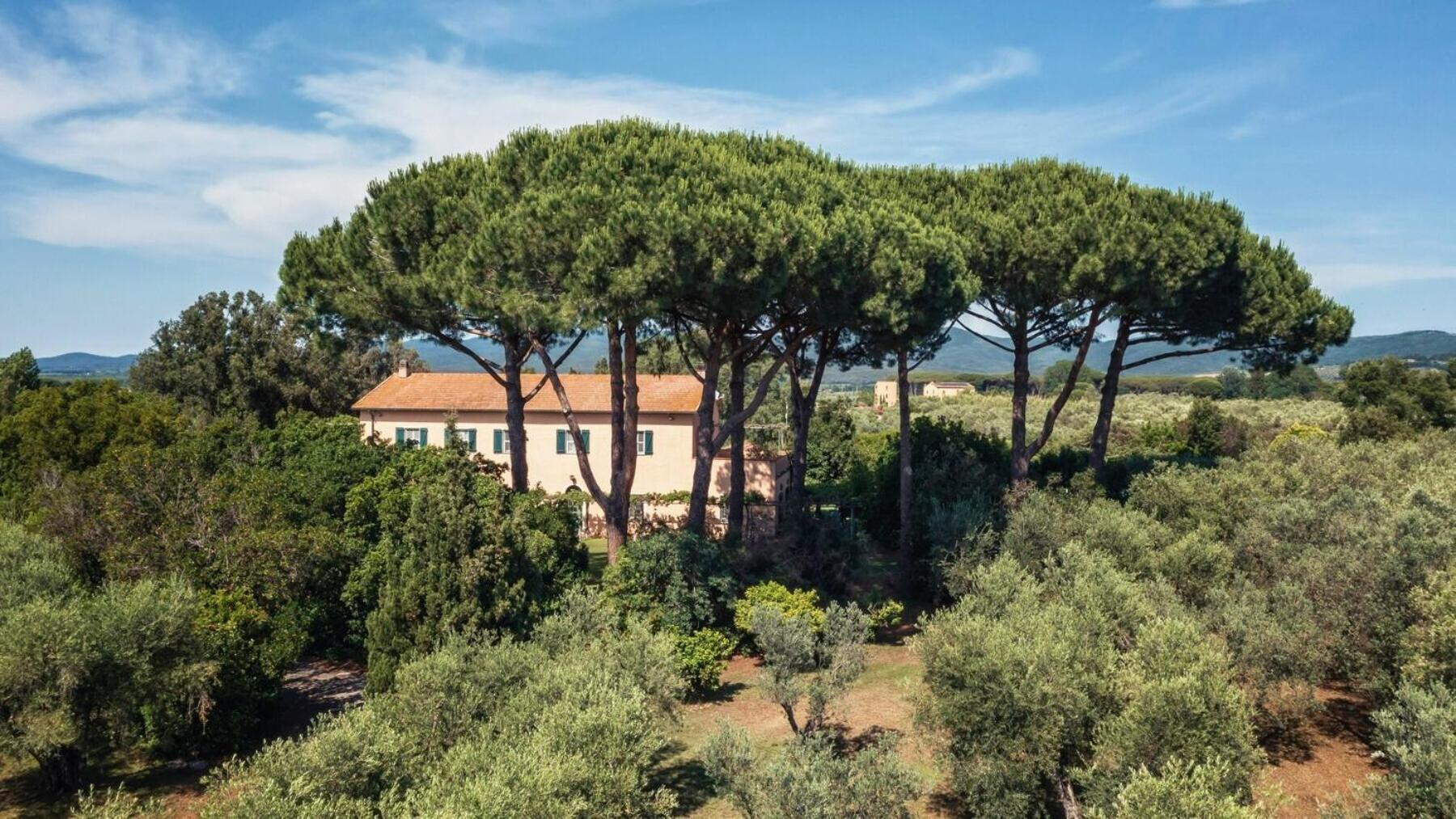 Bb Villa Bolgheri Mare Доноратіко Екстер'єр фото